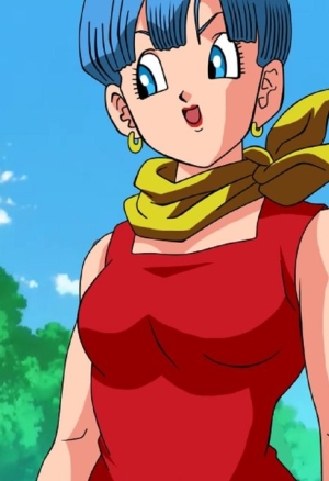 BULMA Y PETISA SAGA MAJIN BU