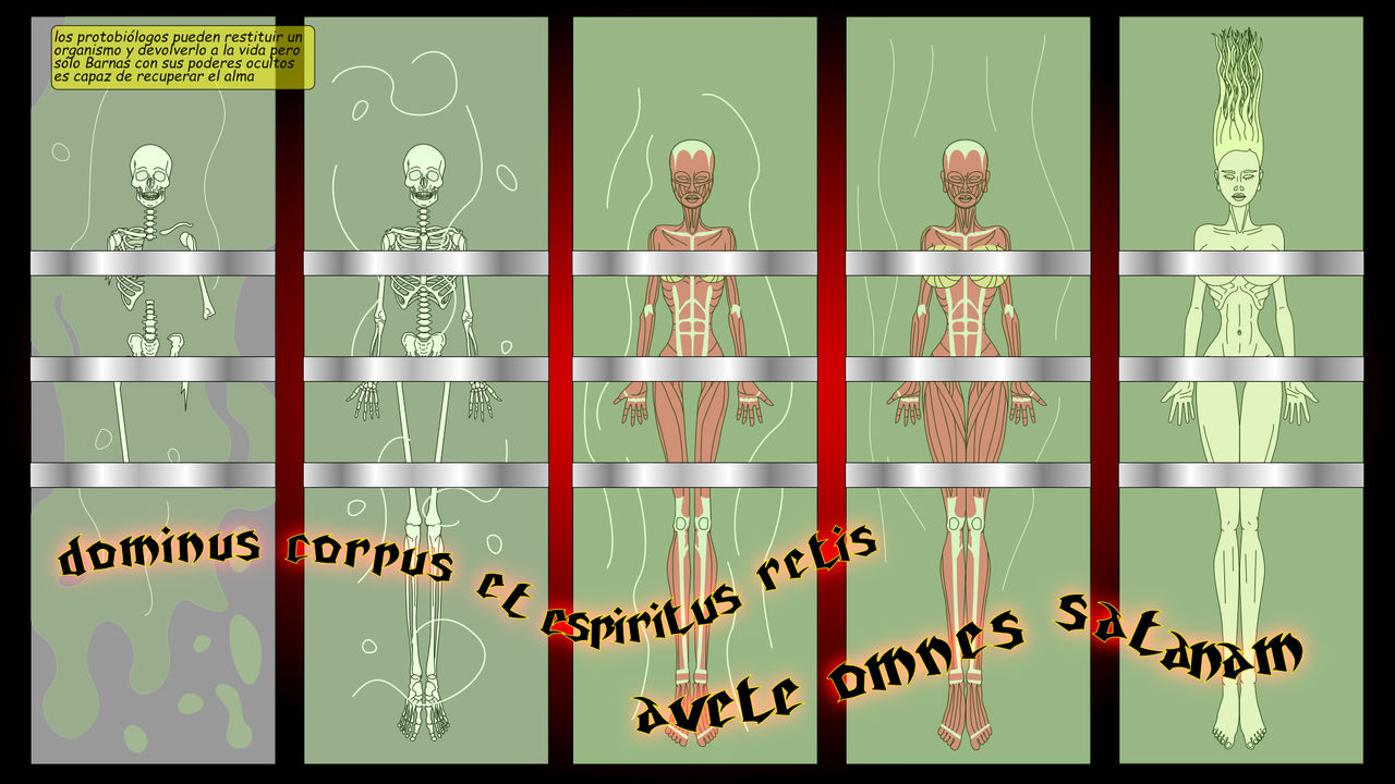 CULO - 00 - ESPANOL image number 11