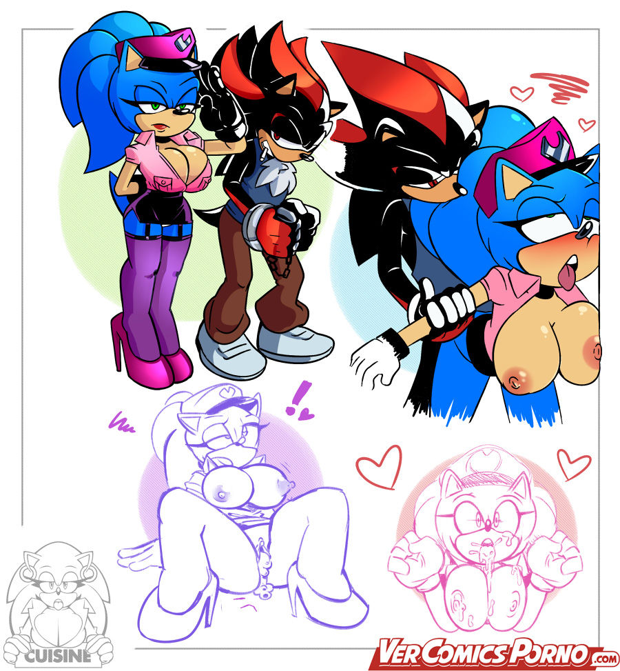 Sonic The Whore Cop image number 4