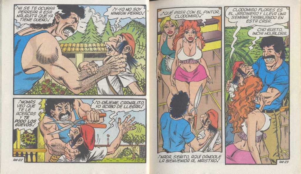 Aca Los Maistros 30 image number 12