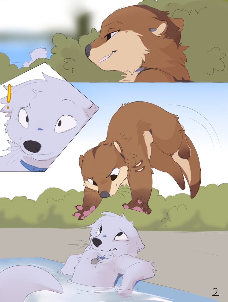 Personal Otter Space image number 1