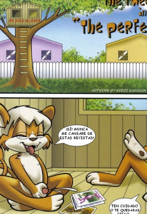 The perfect size - Spanish