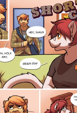 Shortcut -  -