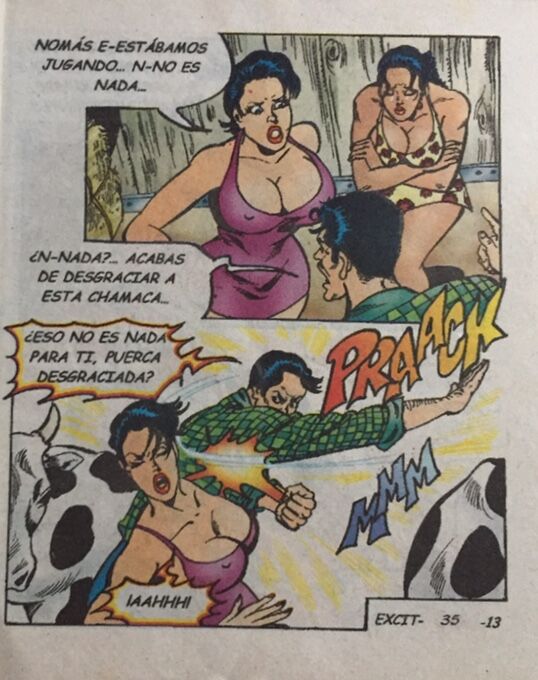 La Vida... Excitante y Brutal 35 image number 12