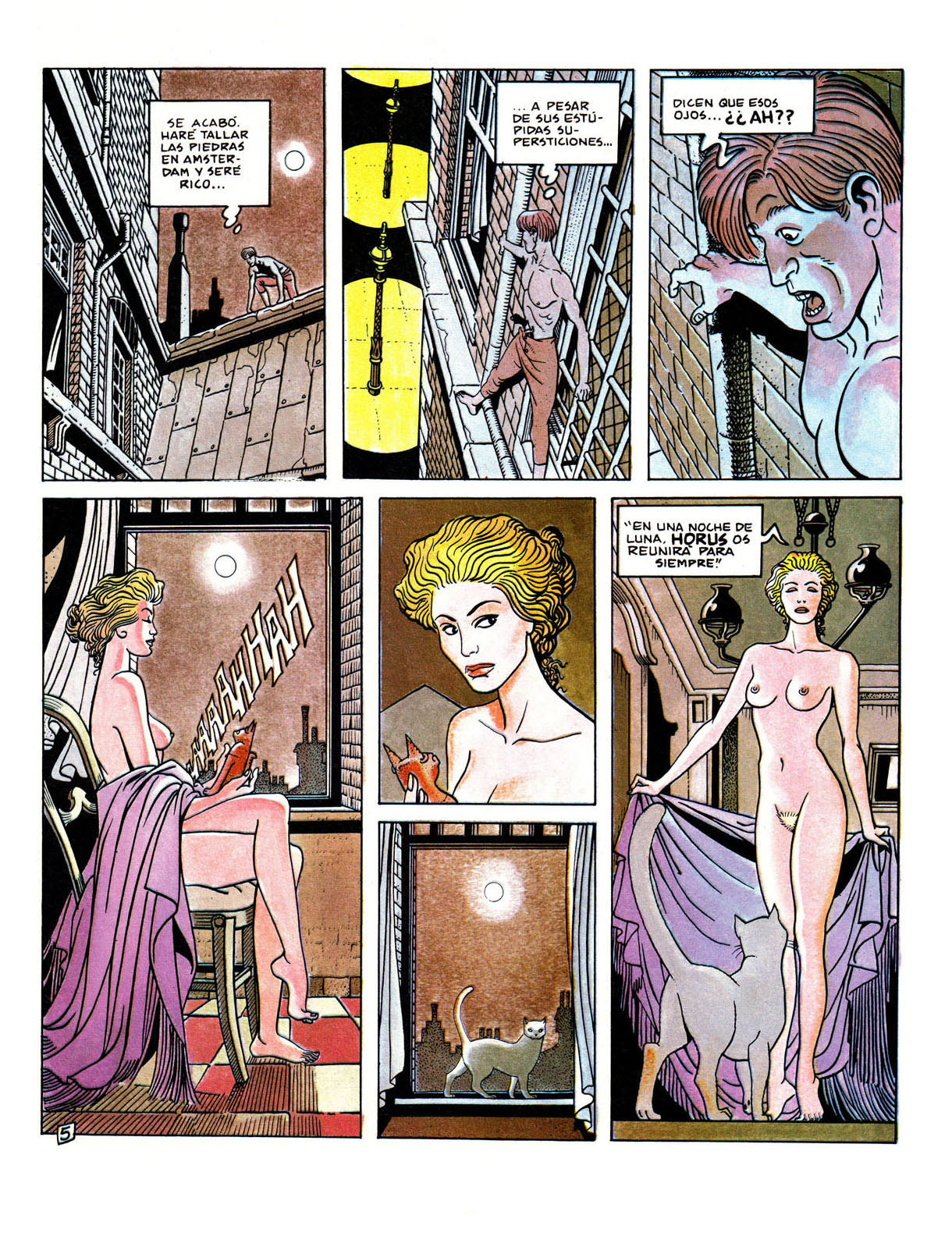Exotica image number 6