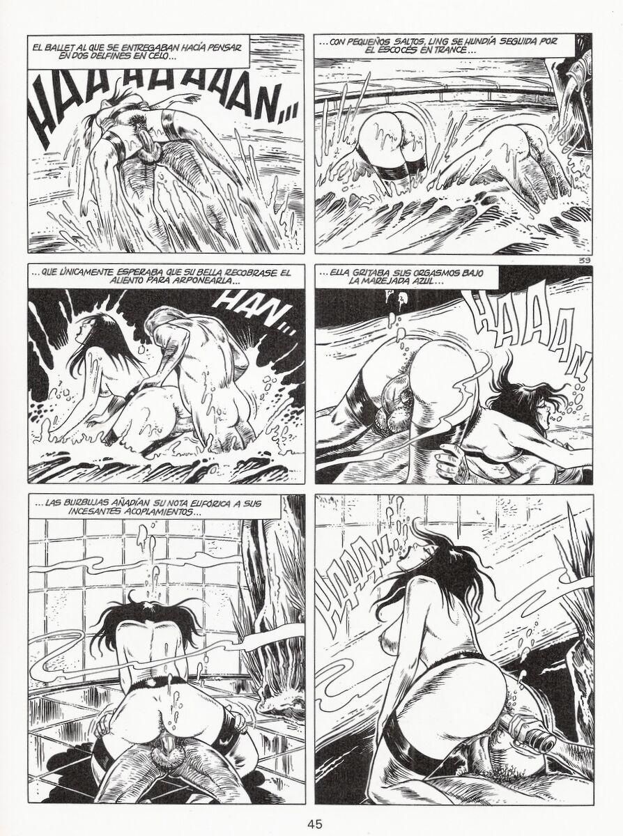 El hotel image number 44