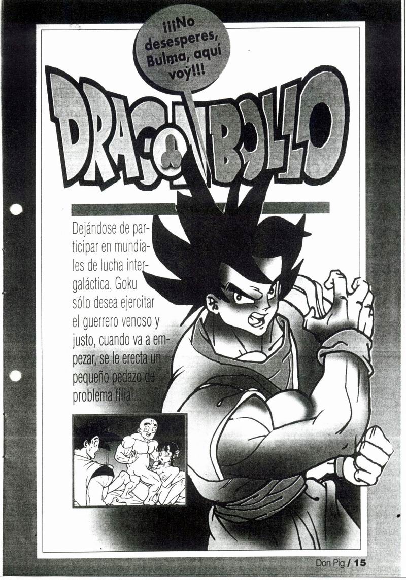 dragon ball chichi dragon bollo image number 2
