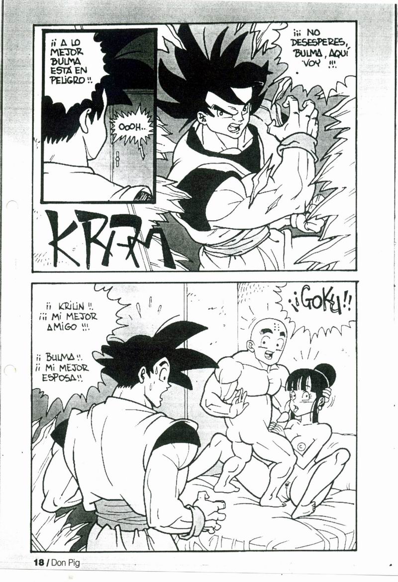 dragon ball chichi dragon bollo image number 5