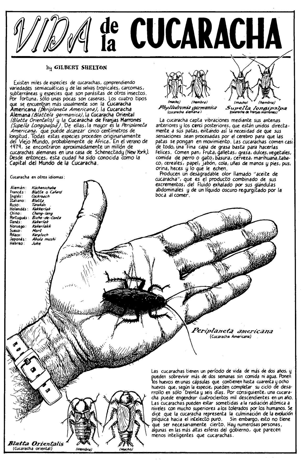 02 La guerra de las cucarachas image number 1
