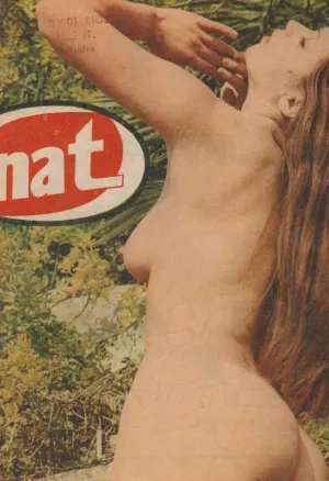 Revista Nat 104