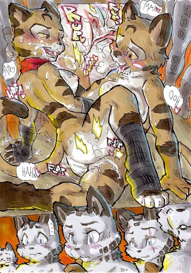 Mejor Tarde Que Nunca   Complete image number 369