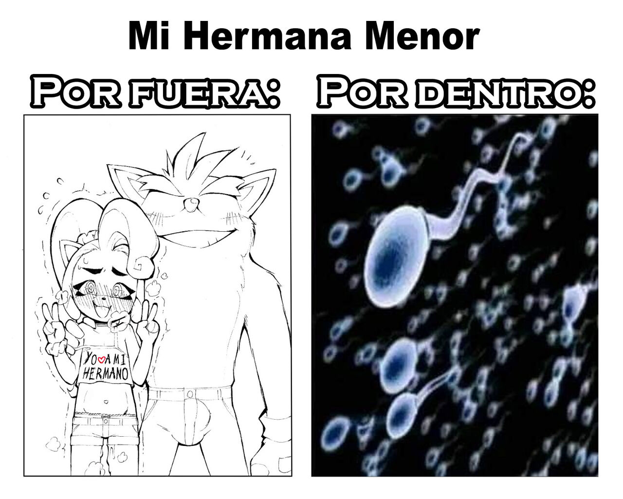 Amor Prohibido image number 10