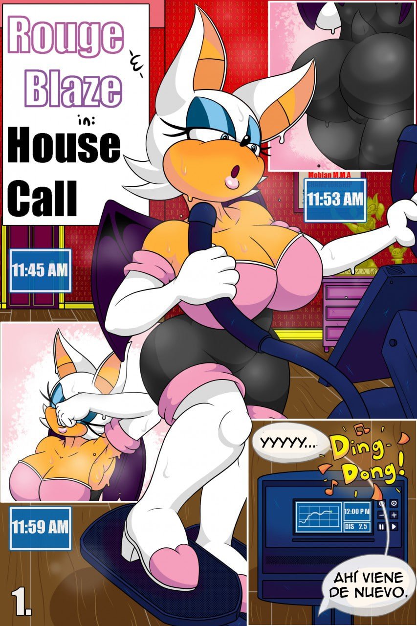 Rouge and Blaze in: House Call