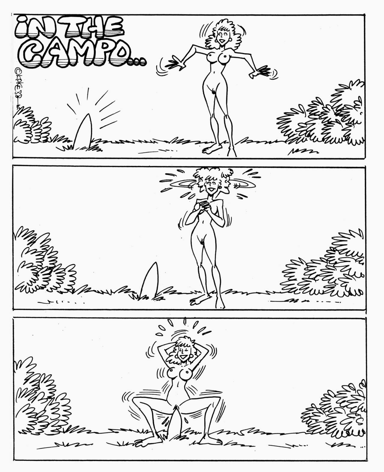 El Cuervo 72 epoca 2 image number 13