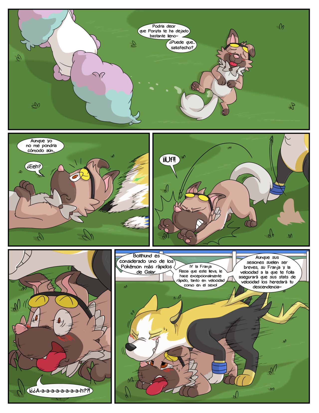 Breeding 103 / Crianza 103 image number 5