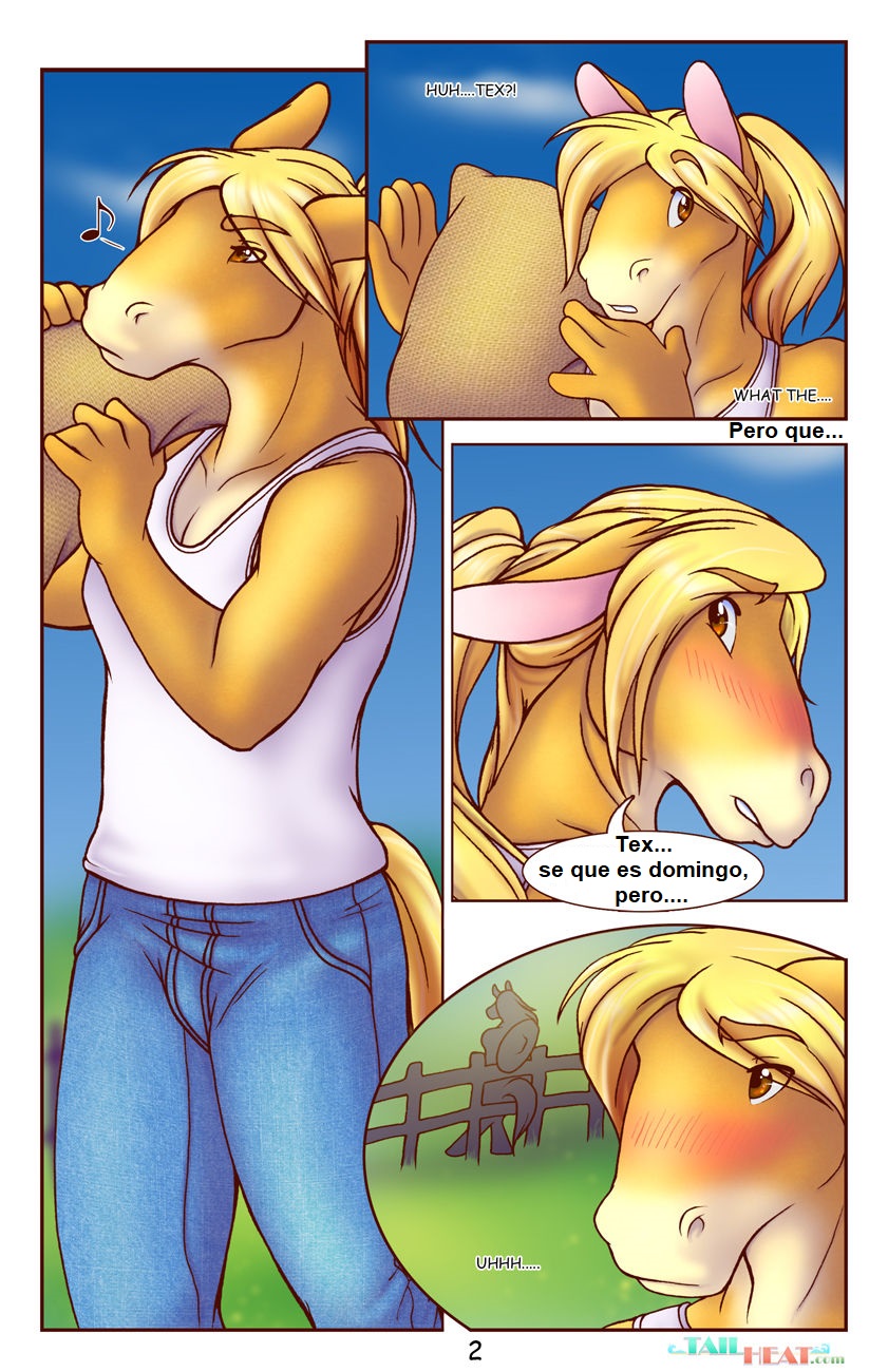 Sundays image number 1