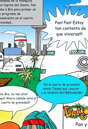 Pan And Bras  Trainer