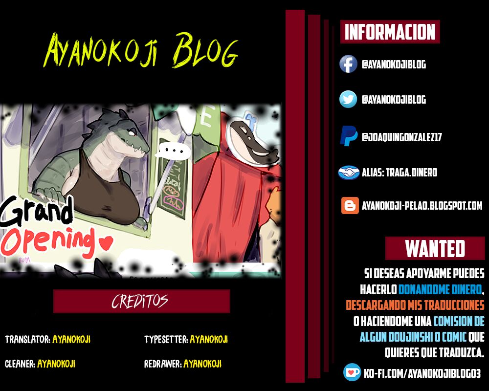 Grand Opening image number 6