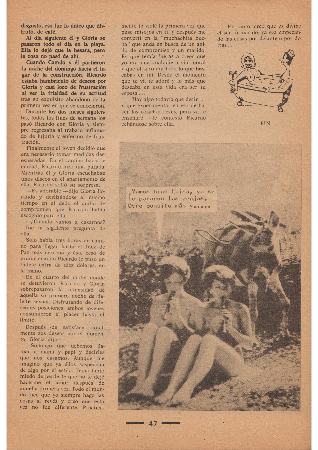 Revista Nat 66 image number 33