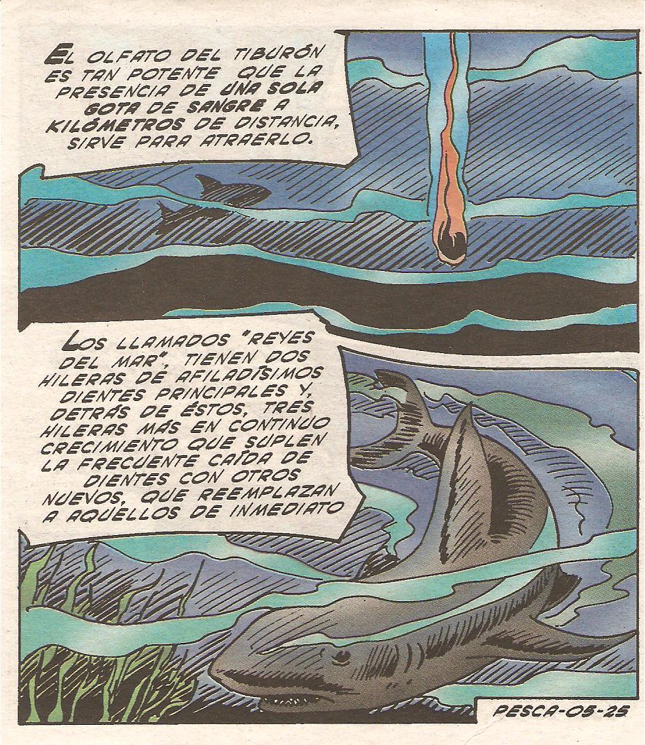 Tropicaliente 127 image number 25