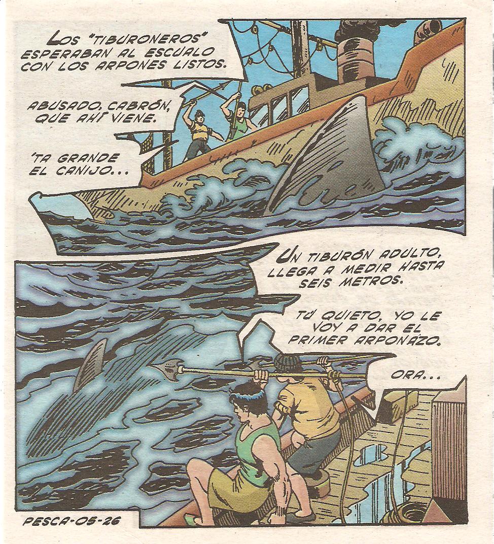 Tropicaliente 127 image number 26