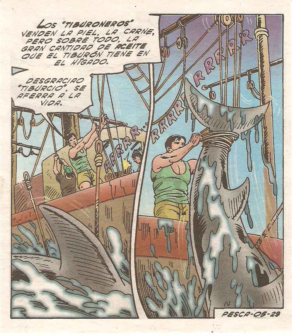 Tropicaliente 127 image number 29