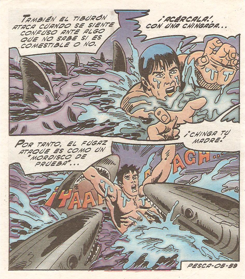 Tropicaliente 127 image number 59