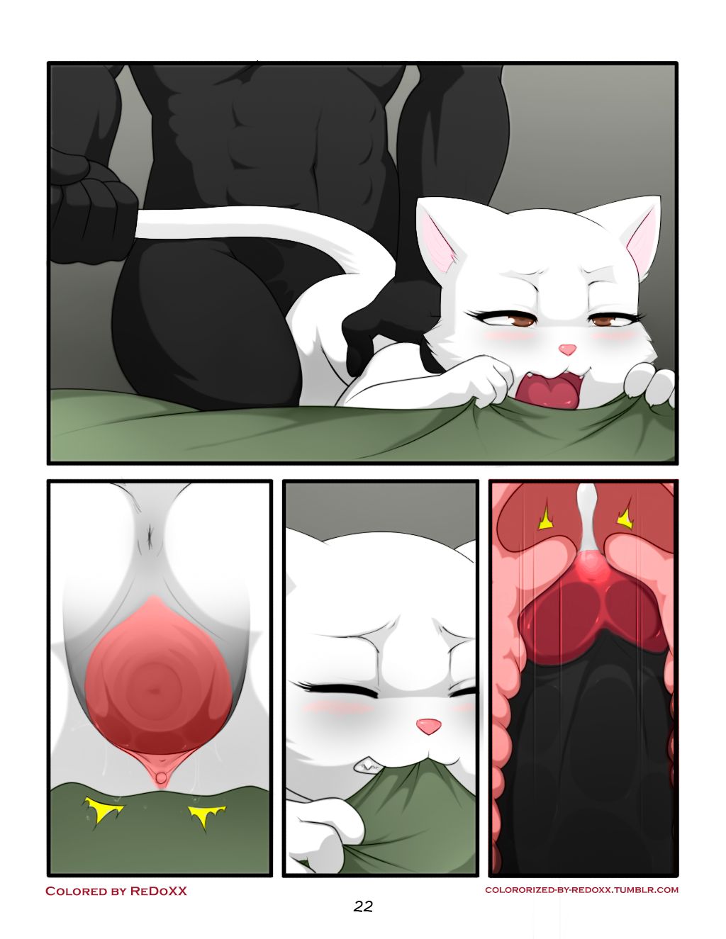 El Tamaño Importa image number 7