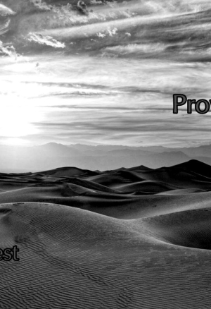 Proyecto Schwan Capitulo 12: Alas Raudas en Tiempos de Guerra