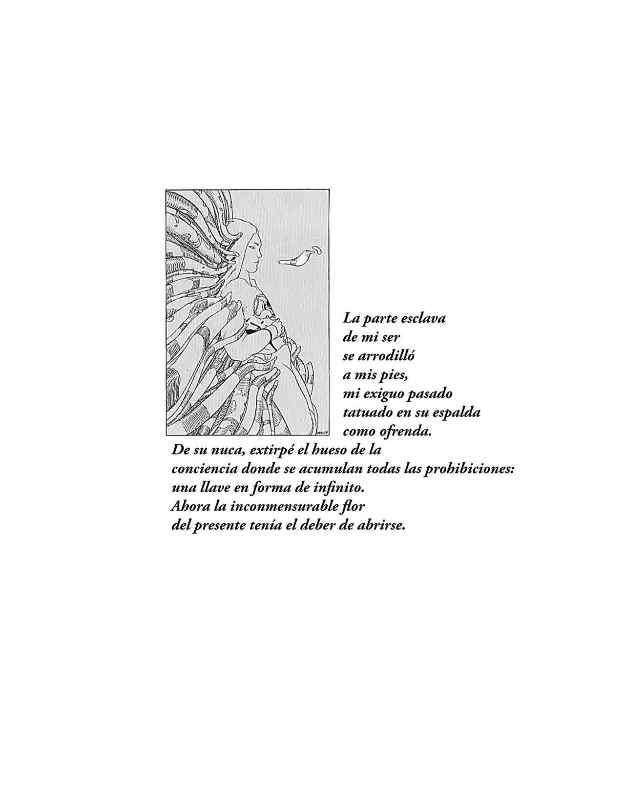 Des Engels Kralle image number 22