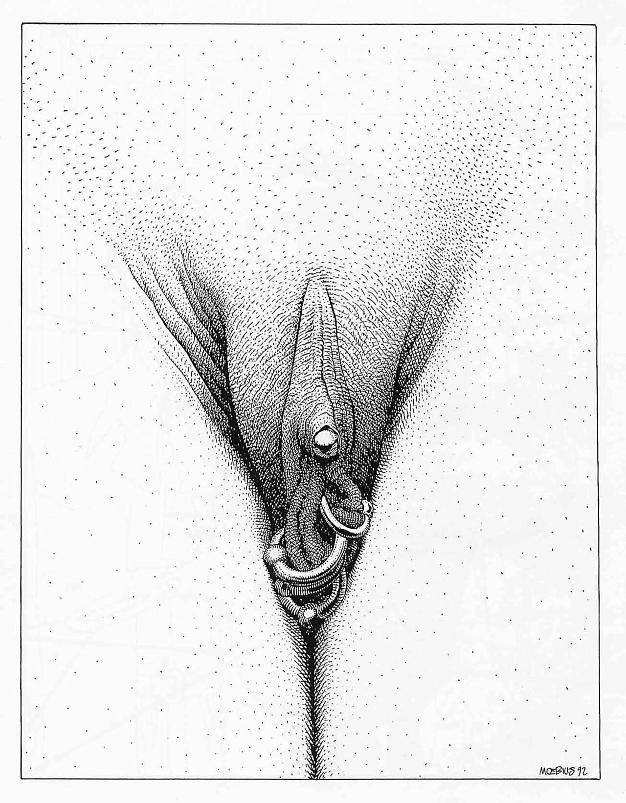 Des Engels Kralle image number 33