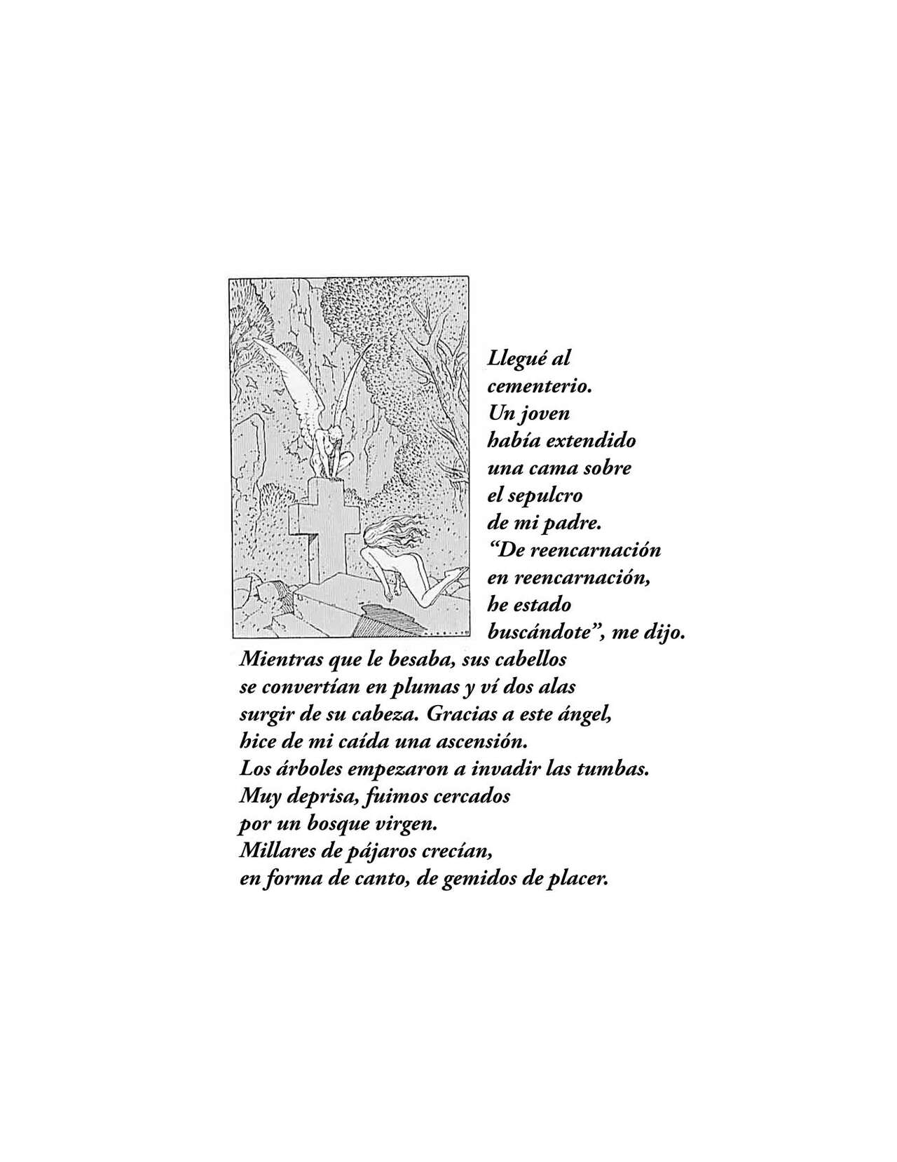 Des Engels Kralle image number 58