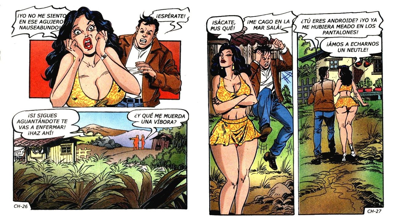 Las Chambeadoras 308 image number 14