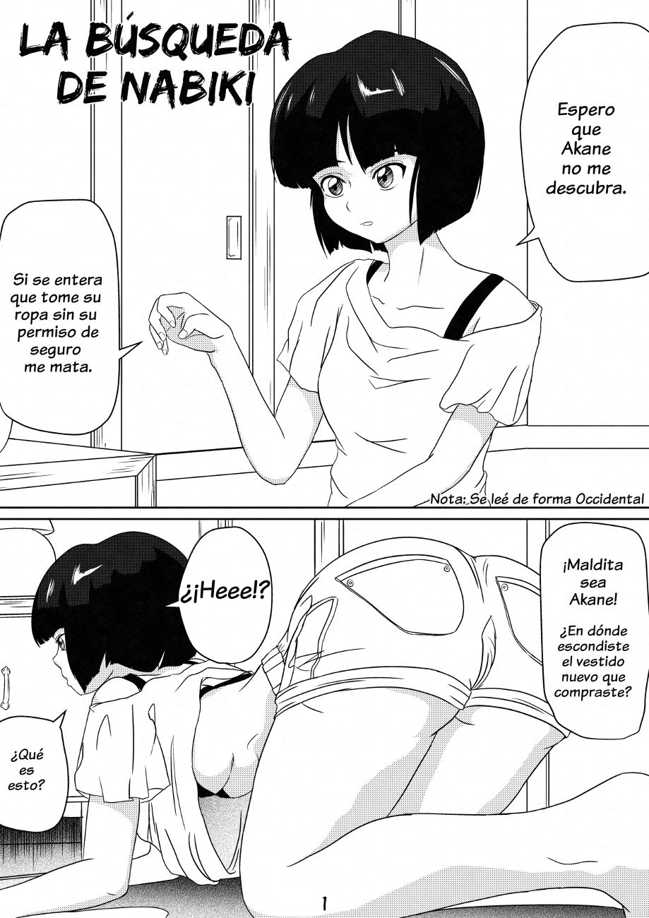 La Búsqueda de Nabiki image number 1