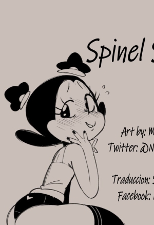 Spinel Swap