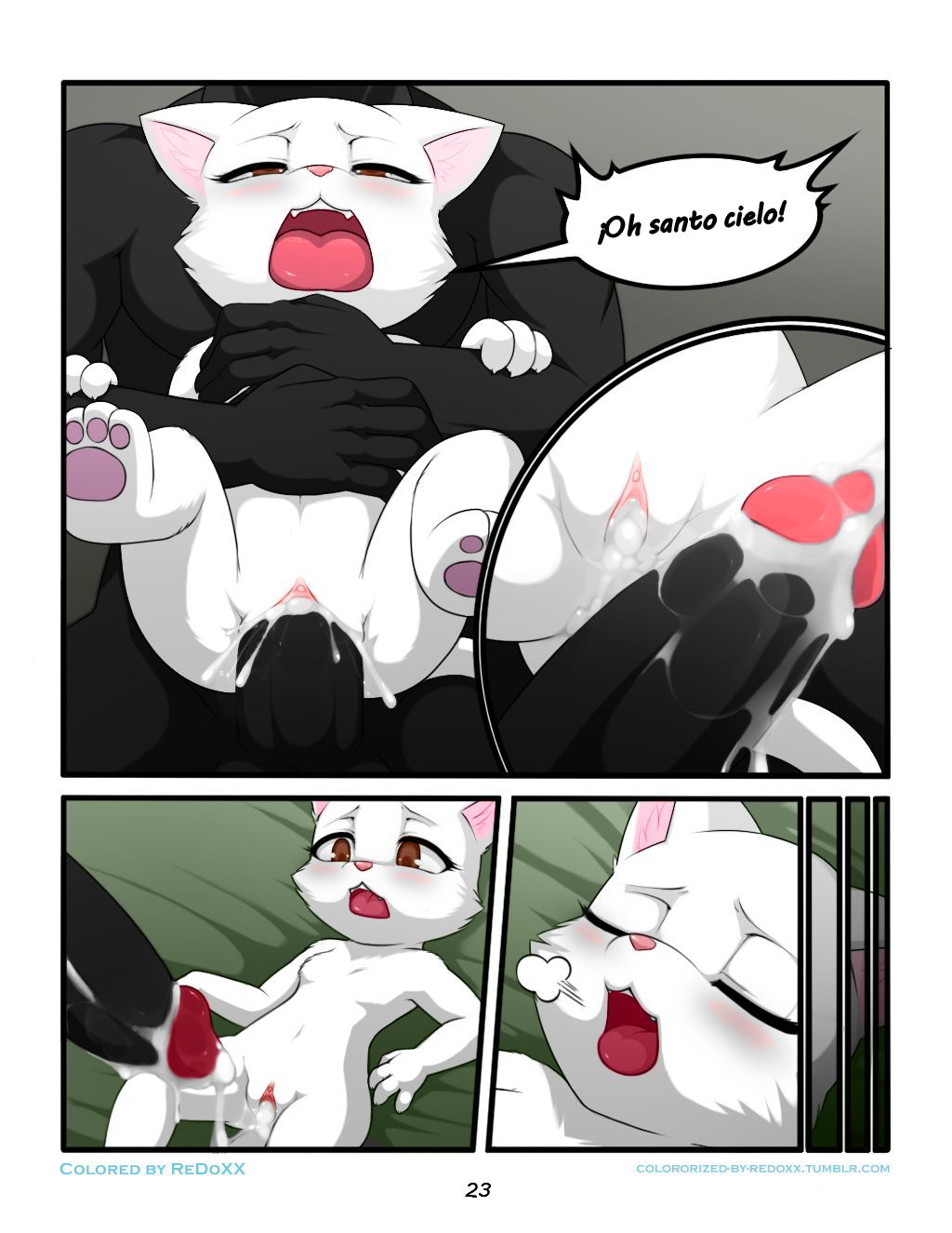 Size counts/El tamaño importa image number 4