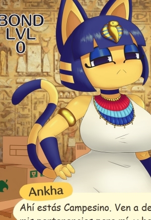 Ankha bond level