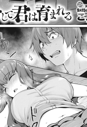 Soshite Kimi wa Hagukumareru