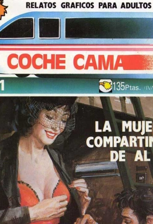 Coche cama 1